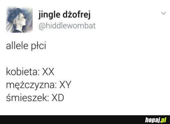 ALLELE PŁCI