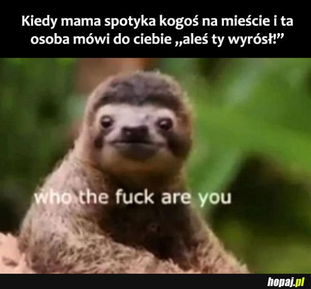 Nieznajomy 