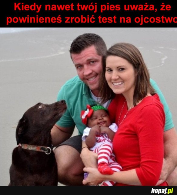 Podejrzane