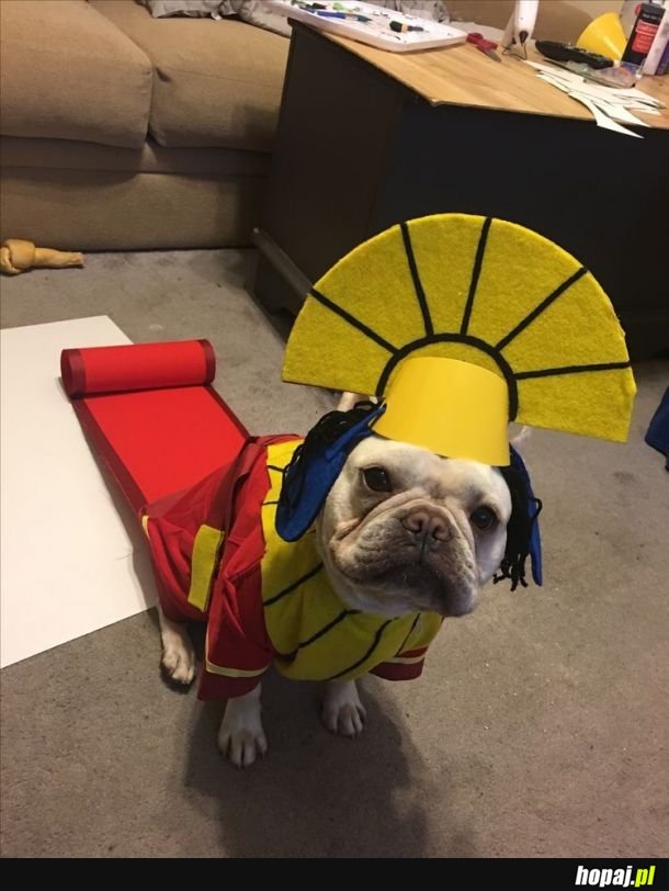 Kuzco