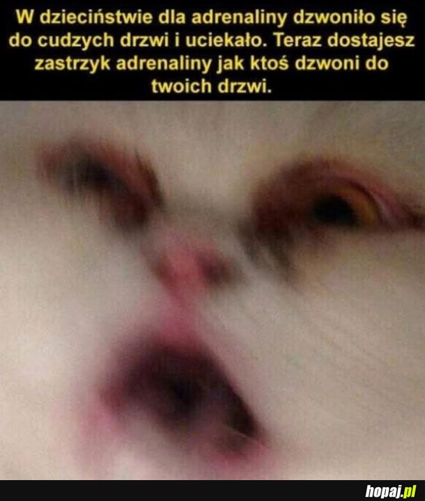 I atak paniki gotowy