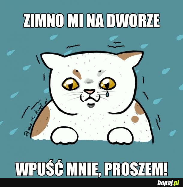 Wpuśćcie kitku ;(