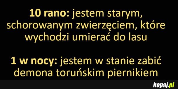 Czemu rano nie mam takiej energii jak w nocy