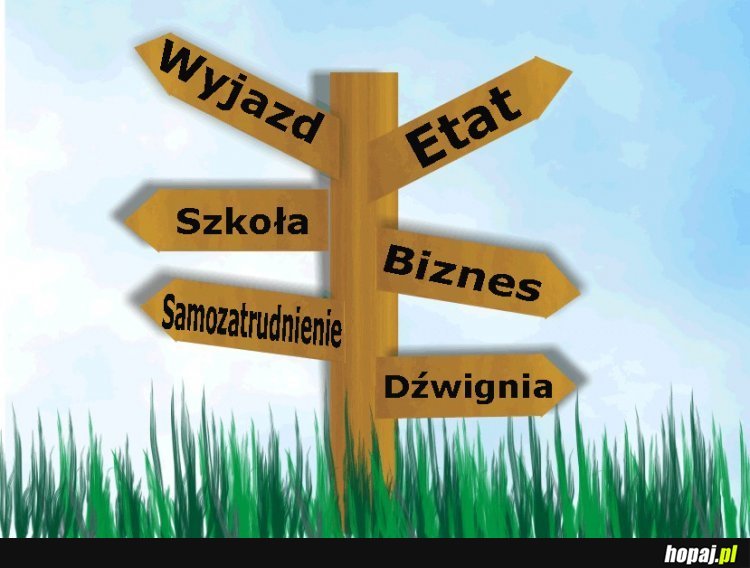 Wybierz swoją drogę