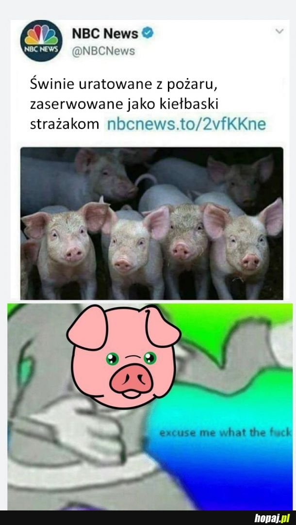 To już jest po prostu okrutne