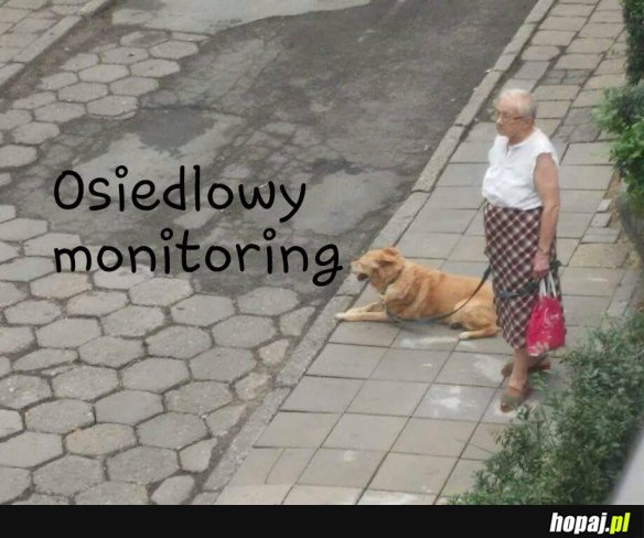 Osiedlowy monitoring