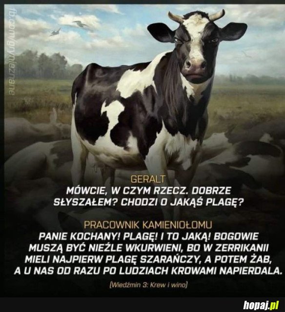 WIEDŹMIN TAKI JEST