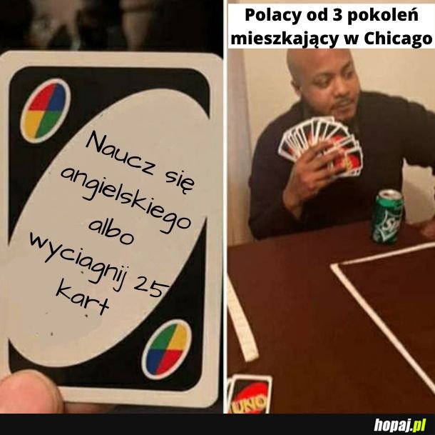 Polonia z Czikago