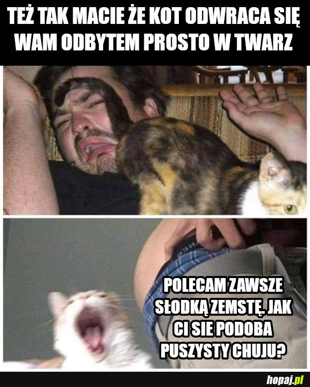 Ohydne fuczaki