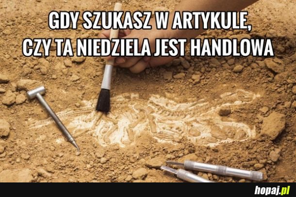 Handlowa niedziela