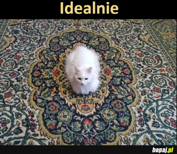 Idealnie