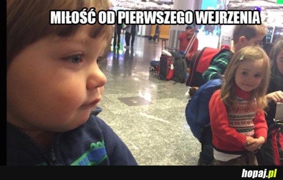 Awww