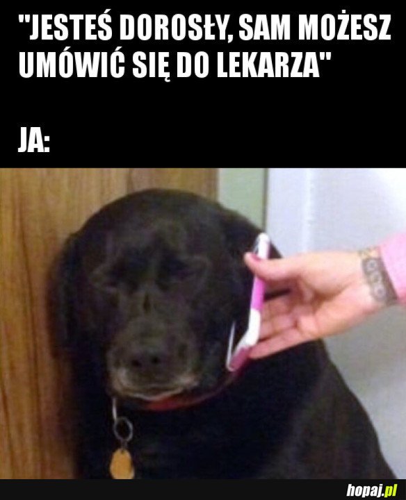 JESTEŚ JUŻ DOROSŁY