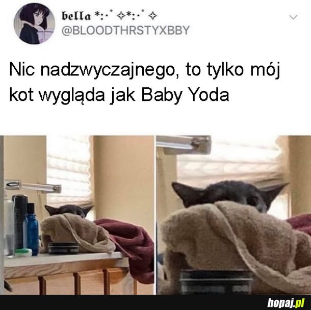 Podobieństwo