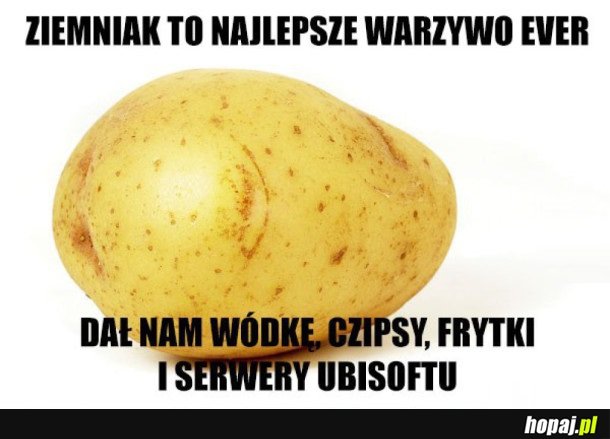 DOBRY ZIEMNIAK