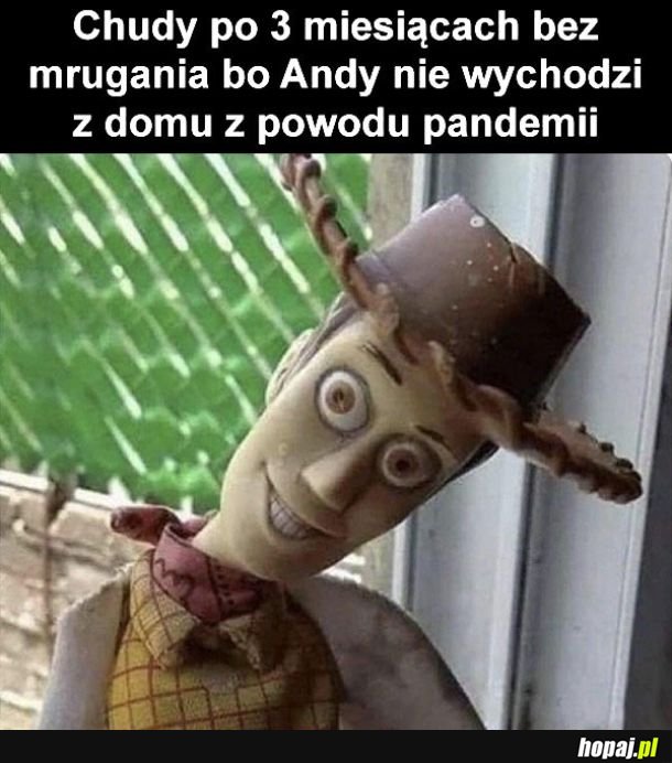 Jak tu żyć