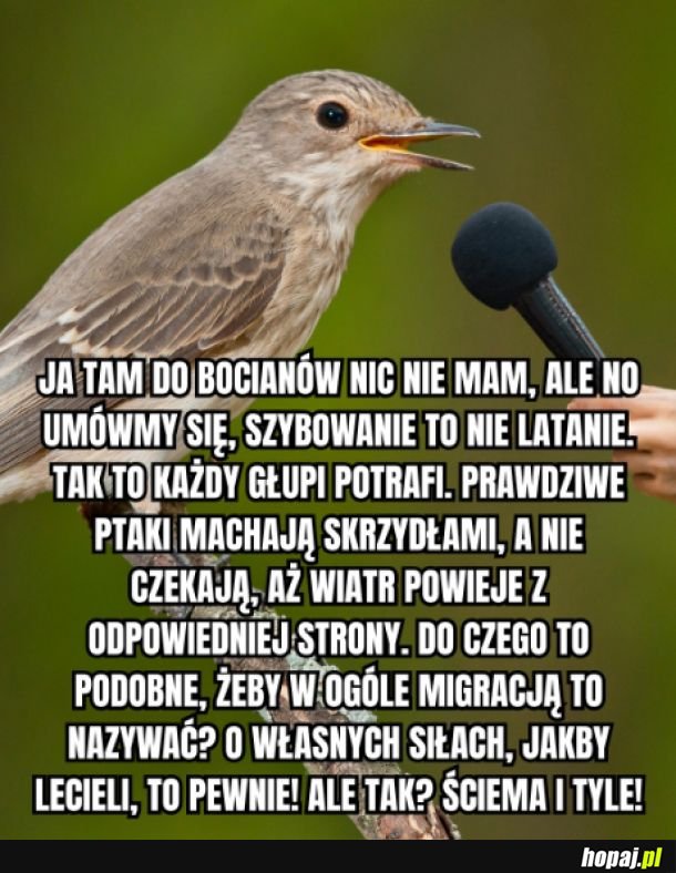 Ja tam do bocianów nic nie mam