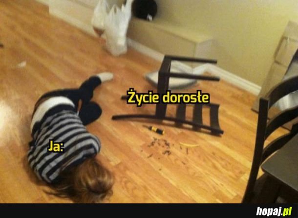 Dorosłe życie
