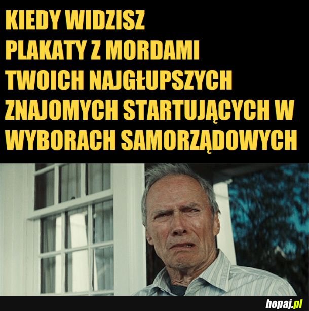 Wybory samorządowe