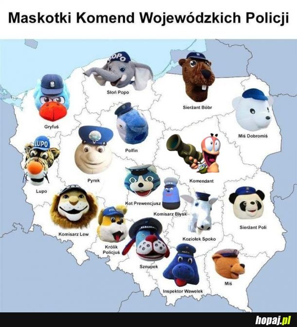 Maskotki Komend Wojewódzkich Policji