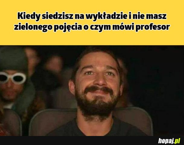 Studia są takie piękne