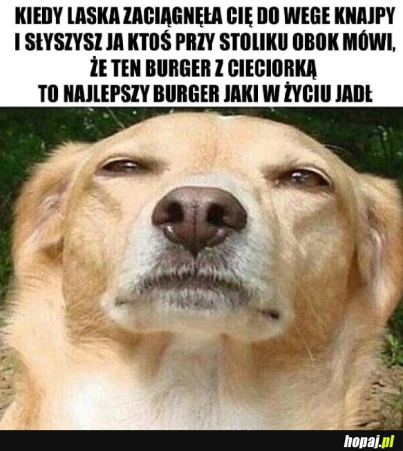 CO TY MOŻESZ WIEDZIEĆ O PRAWDZIWYCH BURGERACH