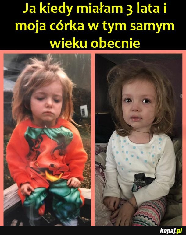 Kopiuj wklej