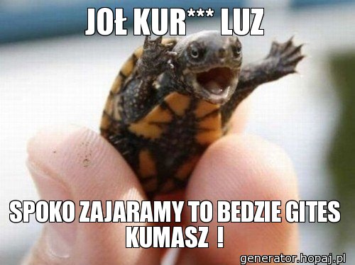 JOŁ KUR*** LUZ