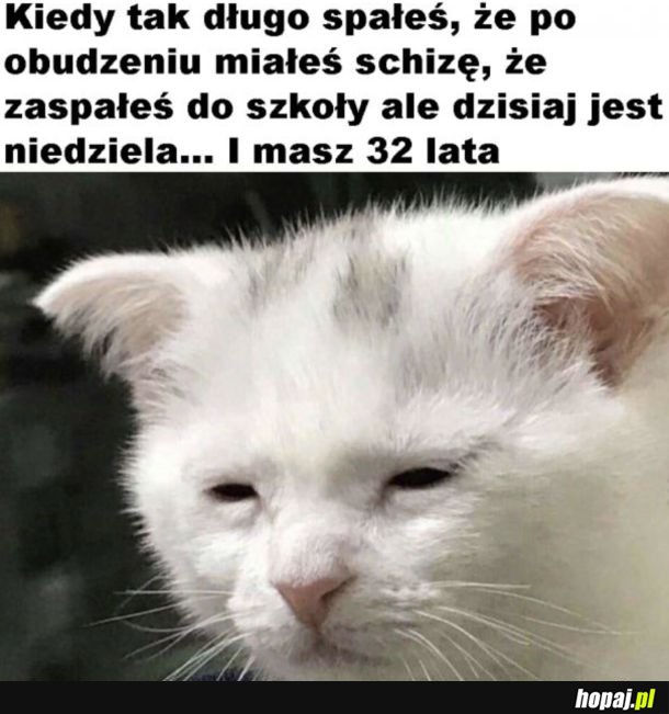 Jak dobrze, że tylko się wydawało