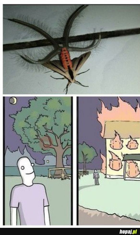A potem wyjechać z kraju
