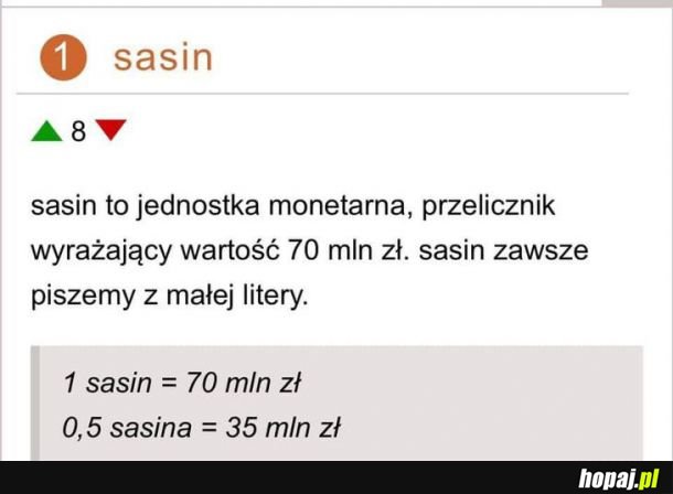 Jeden sasin