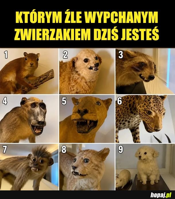 Trzy i siedem