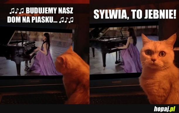 Sylwia, to j...nie! 