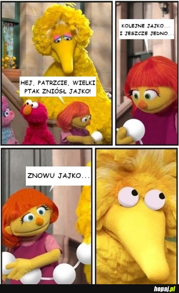 Ptaki znoszą jaja