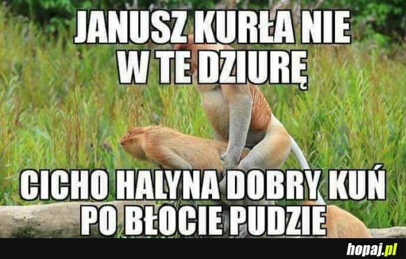 Prawdziwa miłość