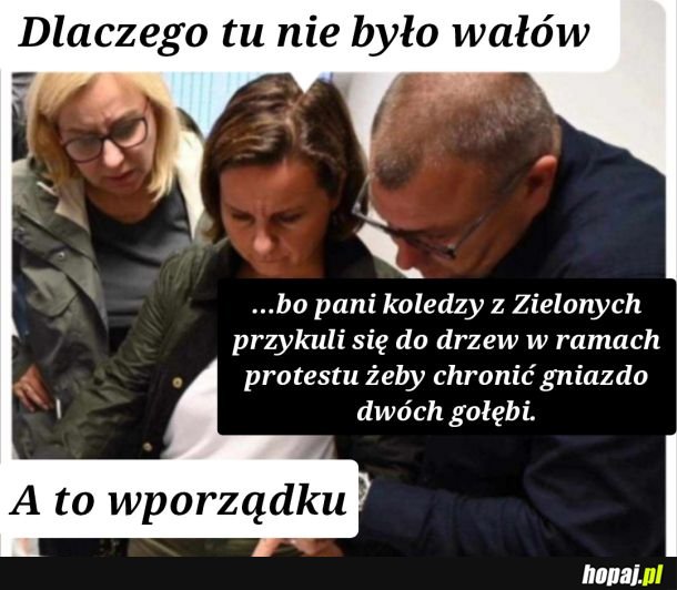 Wały