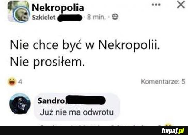 Już nie ma odwrotu