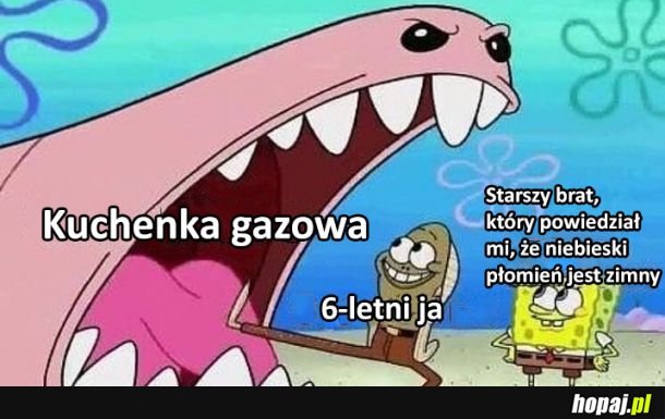 Nie bój się, dotknij!