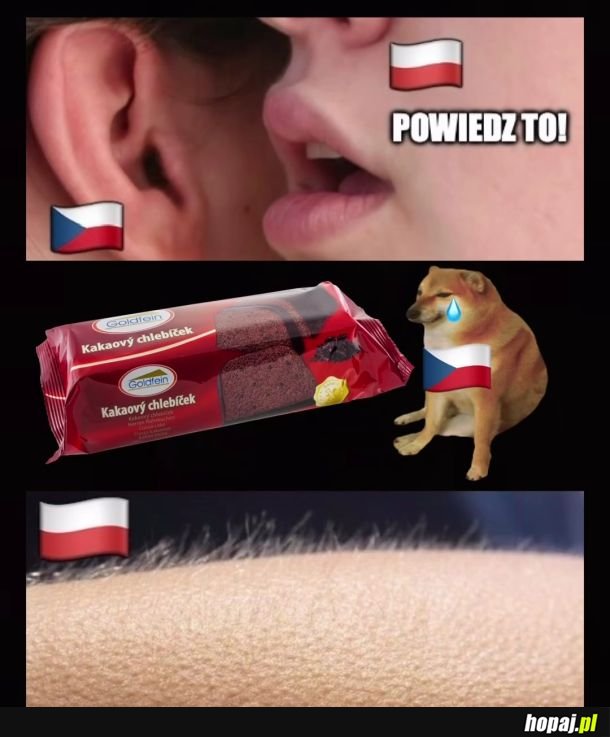 Piękny język