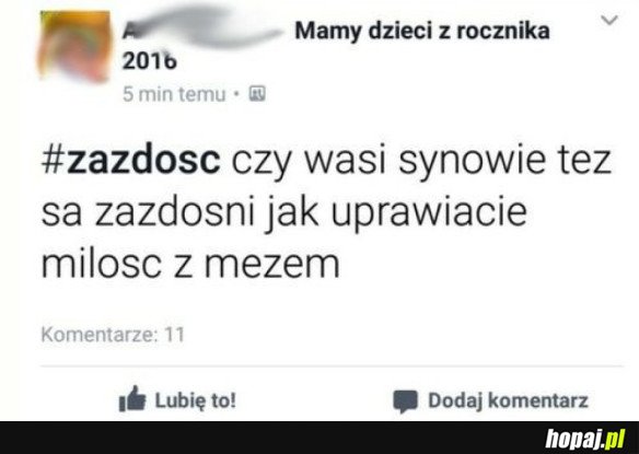 ZAZDROŚĆ