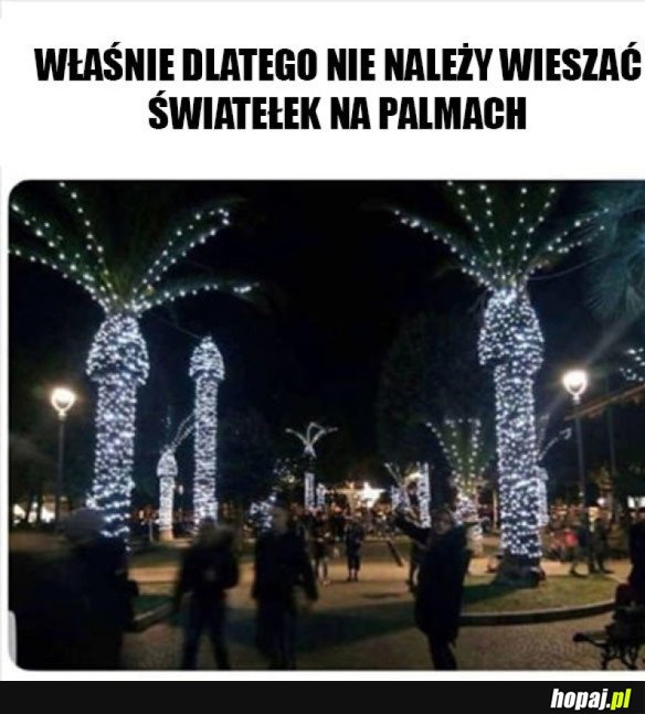 WYGLĄDA TO DOŚĆ DZIWNIE