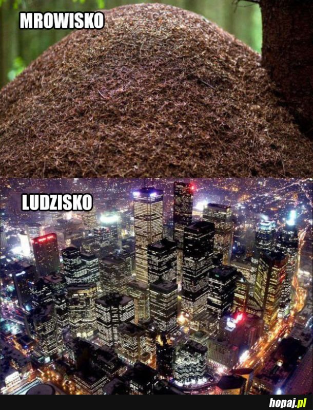 Ludzisko