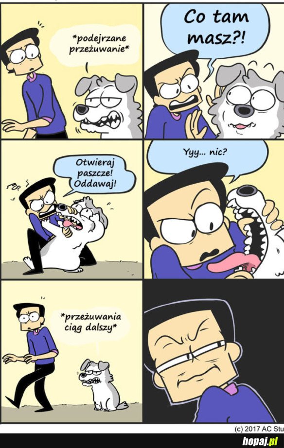 PSY TAKIE SĄ