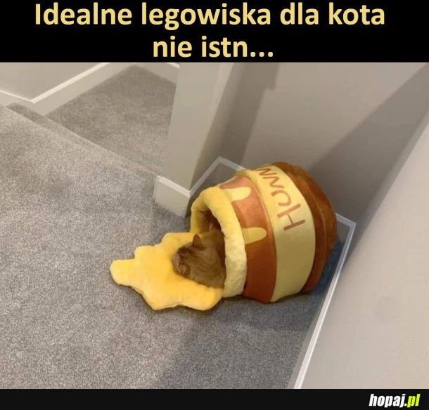 Chcę takie mieć