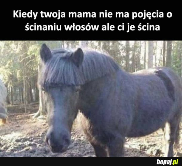 Dzięki mamo