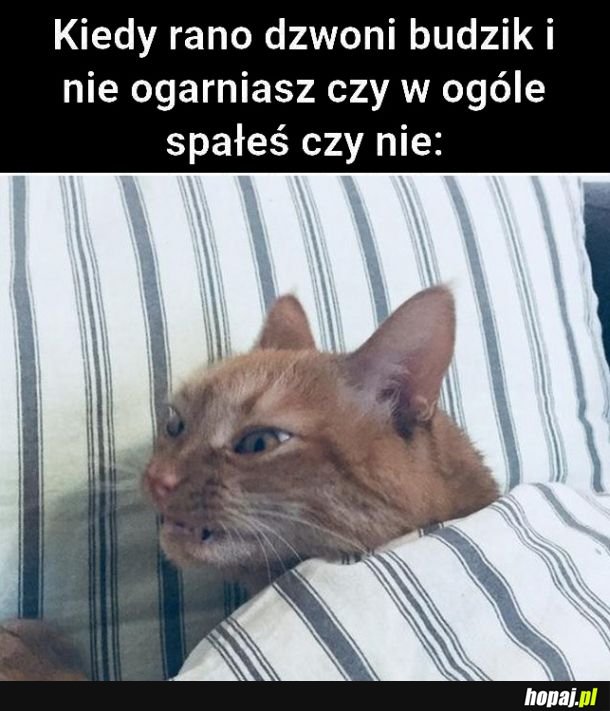 Co sie dzieje