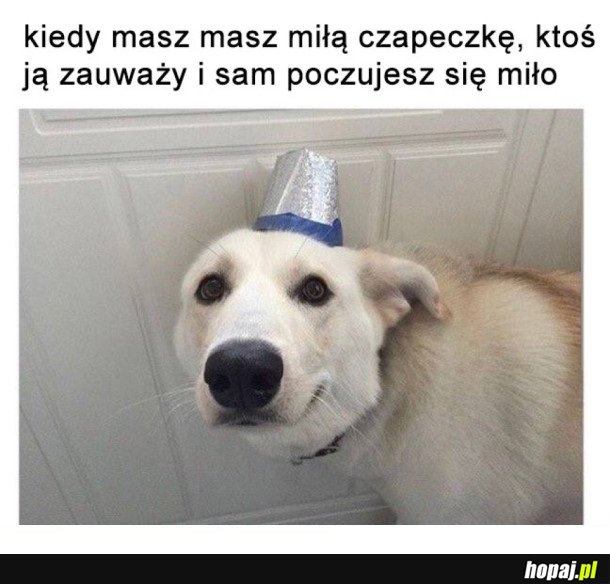 MIŁA CZAPECZKA