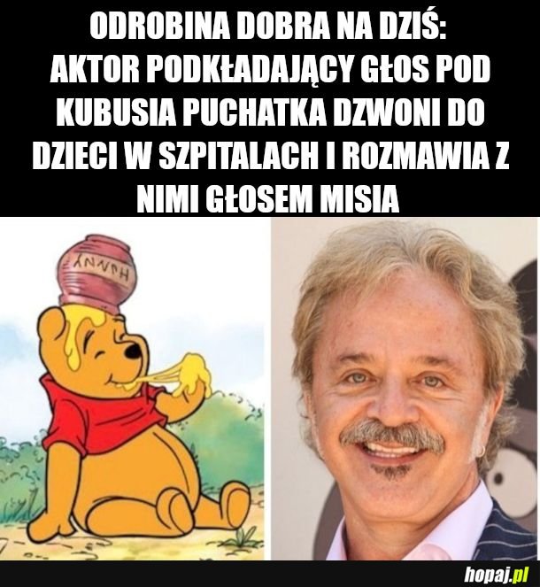 Kubus pooh