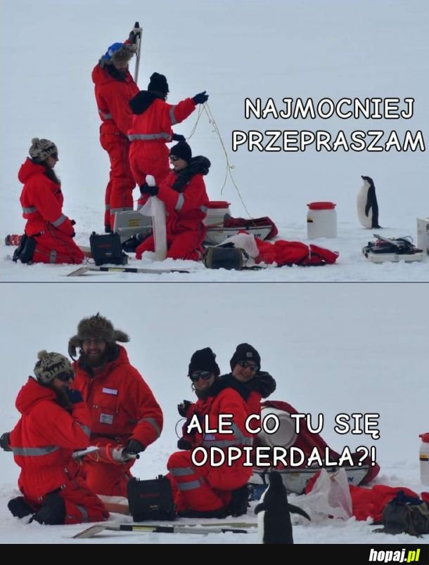Co ci ludzie?!