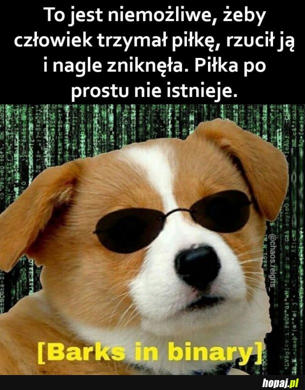 MATRIXEŁ